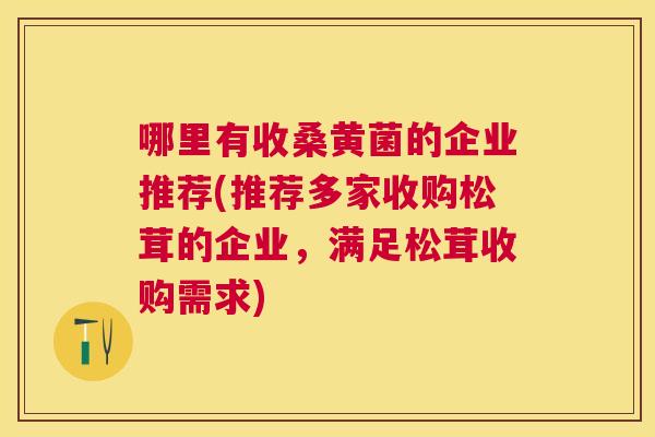 哪里有收桑黄菌的企业推荐(推荐多家收购松茸的企业，满足松茸收购需求)
