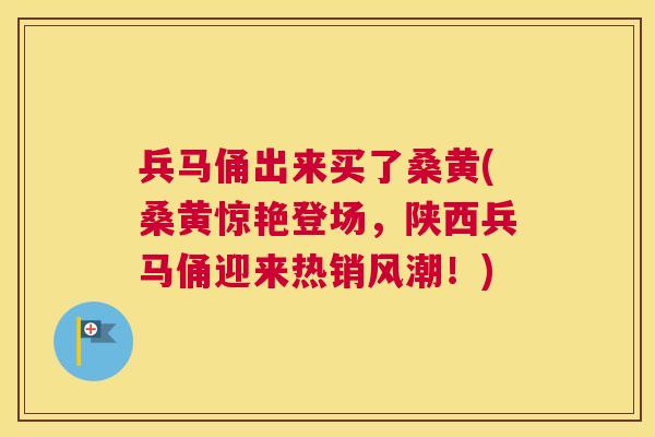 兵马俑出来买了桑黄(桑黄惊艳登场，陕西兵马俑迎来热销风潮！)