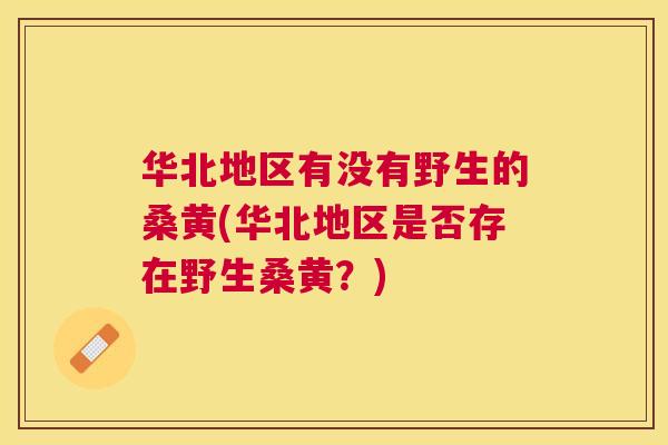 华北地区有没有野生的桑黄(华北地区是否存在野生桑黄？)
