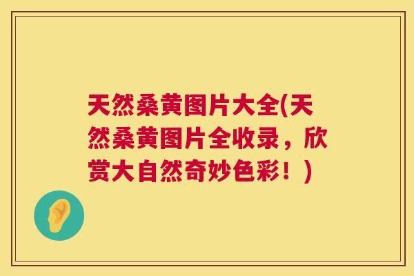 天然桑黄图片大全(天然桑黄图片全收录，欣赏大自然奇妙色彩！)