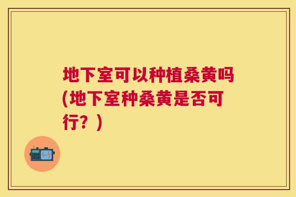 地下室可以种植桑黄吗(地下室种桑黄是否可行？)
