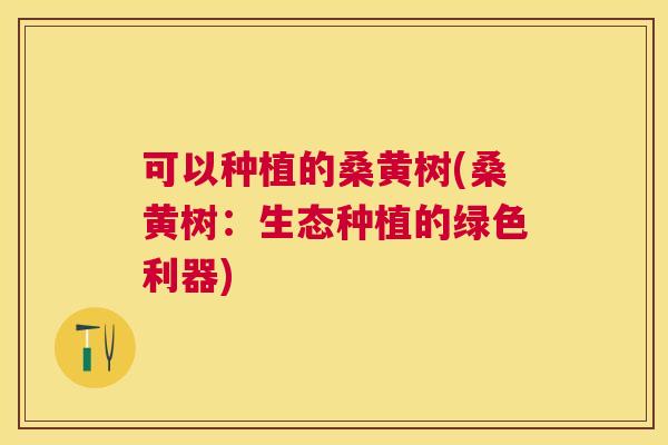 可以种植的桑黄树(桑黄树：生态种植的绿色利器)