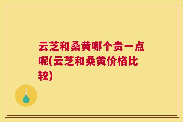 云芝和桑黄哪个贵一点呢(云芝和桑黄价格比较)
