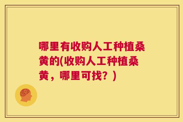 哪里有收购人工种植桑黄的(收购人工种植桑黄，哪里可找？)