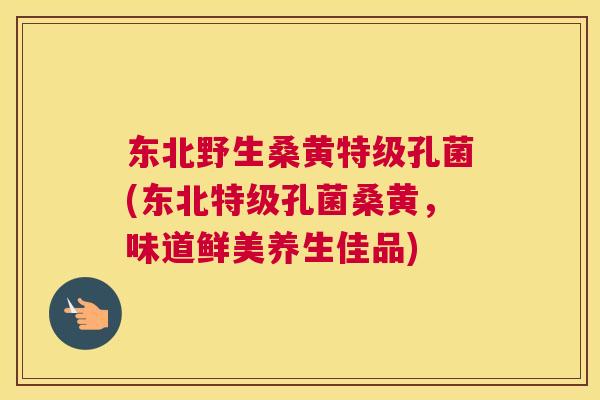 东北野生桑黄特级孔菌(东北特级孔菌桑黄，味道鲜美养生佳品)