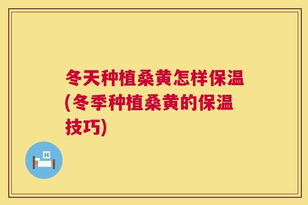 冬天种植桑黄怎样保温(冬季种植桑黄的保温技巧)