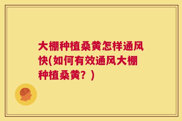 大棚种植桑黄怎样通风快(如何有效通风大棚种植桑黄？)