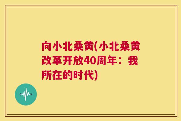 向小北桑黄(小北桑黄改革开放40周年：我所在的时代)
