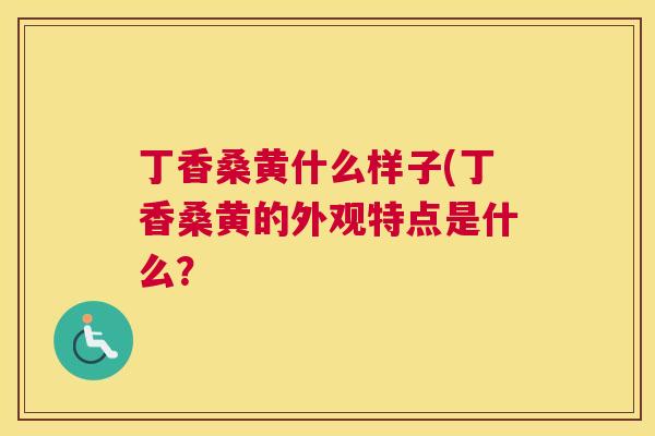 丁香桑黄什么样子(丁香桑黄的外观特点是什么？