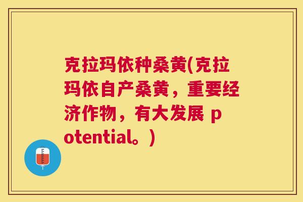 克拉玛依种桑黄(克拉玛依自产桑黄，重要经济作物，有大发展 potential。)