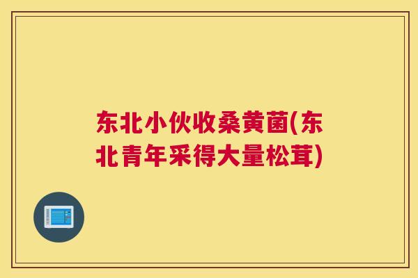 东北小伙收桑黄菌(东北青年采得大量松茸)