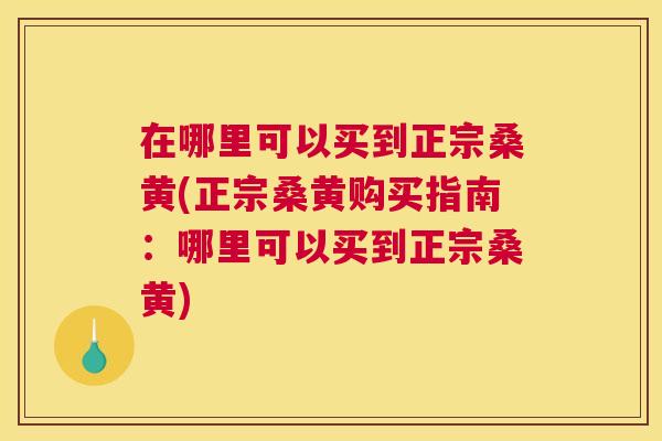 在哪里可以买到正宗桑黄(正宗桑黄购买指南：哪里可以买到正宗桑黄)