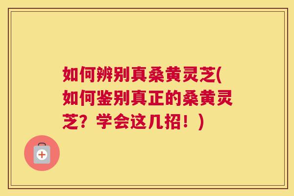 如何辨别真桑黄灵芝(如何鉴别真正的桑黄灵芝？学会这几招！)