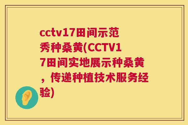 cctv17田间示范秀种桑黄(CCTV17田间实地展示种桑黄，传递种植技术服务经验)