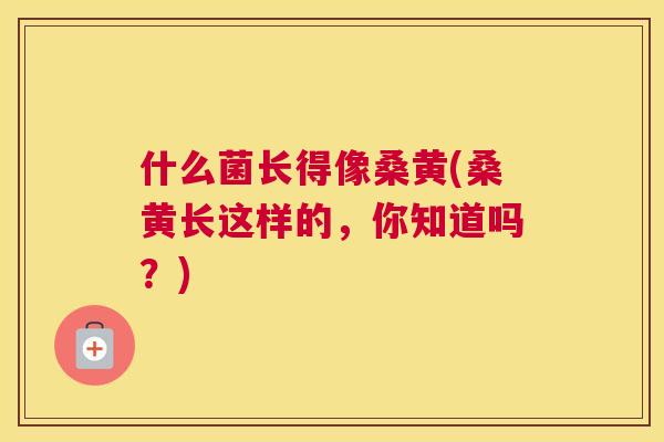 什么菌长得像桑黄(桑黄长这样的，你知道吗？)