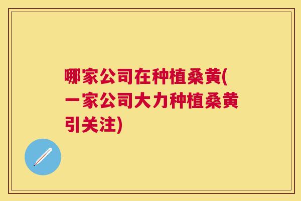 哪家公司在种植桑黄(一家公司大力种植桑黄引关注)