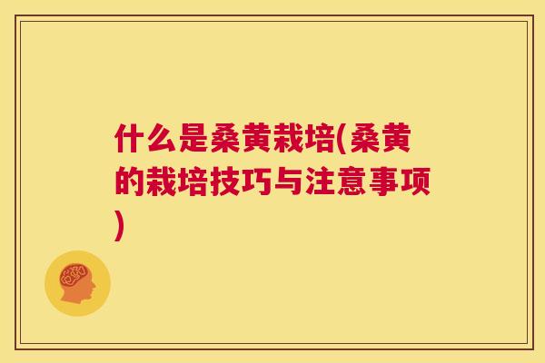 什么是桑黄栽培(桑黄的栽培技巧与注意事项)