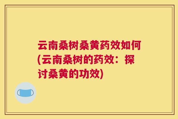 云南桑树桑黄如何(云南桑树的：探讨桑黄的功效)