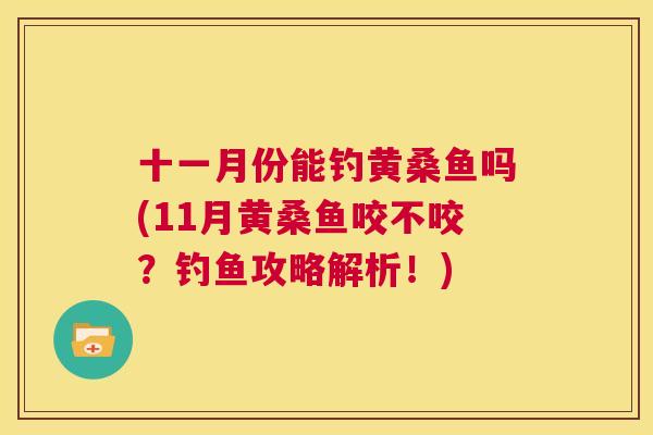 十一月份能钓黄桑鱼吗(11月黄桑鱼咬不咬？钓鱼攻略解析！)