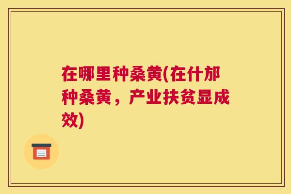 在哪里种桑黄(在什邡种桑黄，产业扶贫显成效)