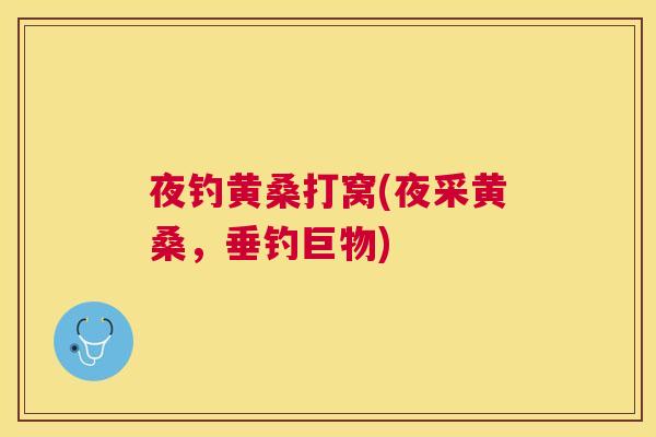 夜钓黄桑打窝(夜采黄桑，垂钓巨物)