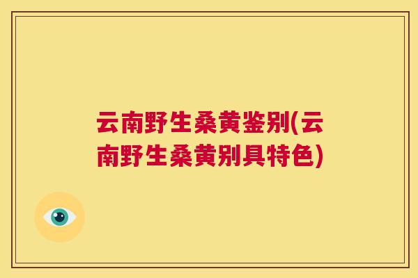 云南野生桑黄鉴别(云南野生桑黄别具特色)