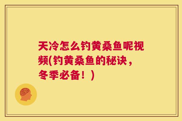 天冷怎么钓黄桑鱼呢视频(钓黄桑鱼的秘诀，冬季必备！)