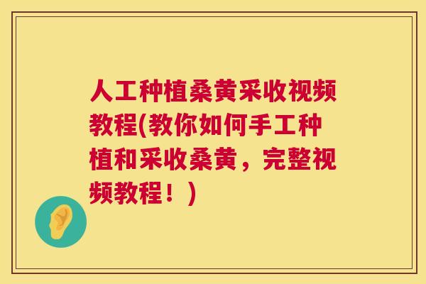 人工种植桑黄采收视频教程(教你如何手工种植和采收桑黄，完整视频教程！)