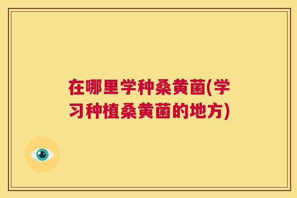 在哪里学种桑黄菌(学习种植桑黄菌的地方)