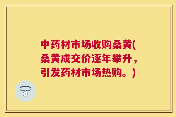 材市场收购桑黄(桑黄成交价逐年攀升，引发药材市场热购。)