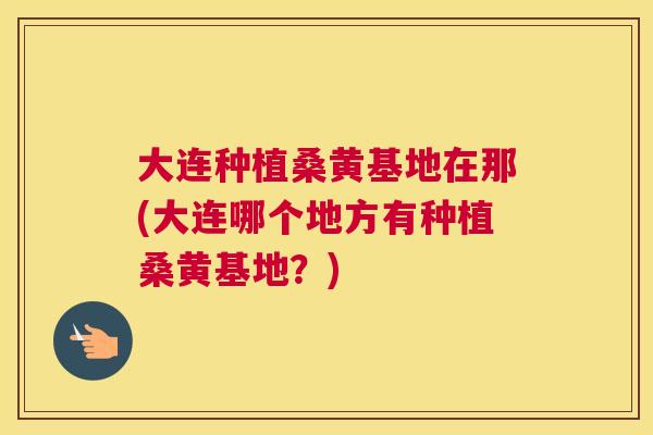 大连种植桑黄基地在那(大连哪个地方有种植桑黄基地？)