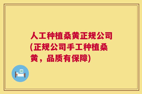 人工种植桑黄正规公司(正规公司手工种植桑黄，品质有保障)