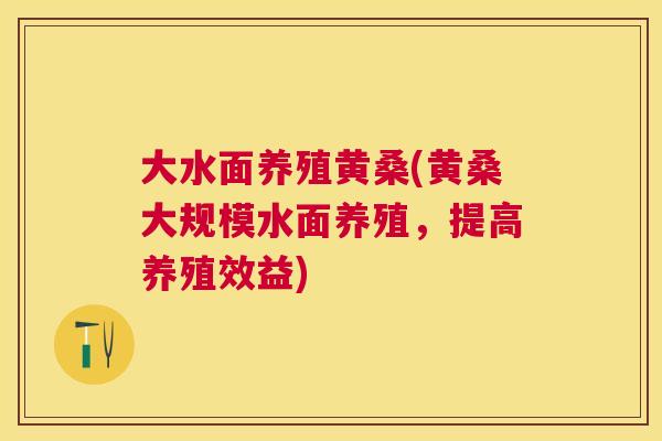大水面养殖黄桑(黄桑大规模水面养殖，提高养殖效益)