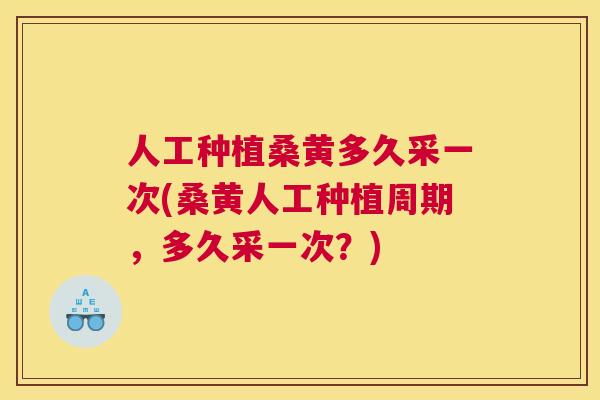 人工种植桑黄多久采一次(桑黄人工种植周期，多久采一次？)