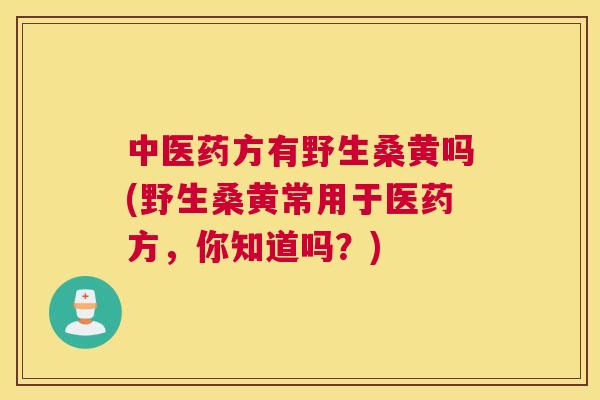 中医药方有野生桑黄吗(野生桑黄常用于医药方，你知道吗？)