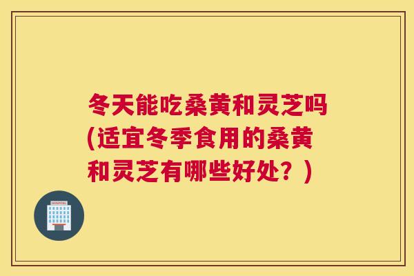 冬天能吃桑黄和灵芝吗(适宜冬季食用的桑黄和灵芝有哪些好处？)