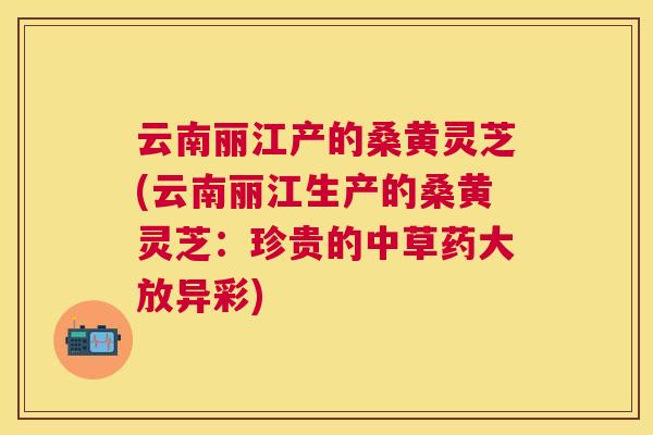 云南丽江产的桑黄灵芝(云南丽江生产的桑黄灵芝：珍贵的中草药大放异彩)