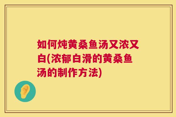 如何炖黄桑鱼汤又浓又白(浓郁白滑的黄桑鱼汤的制作方法)