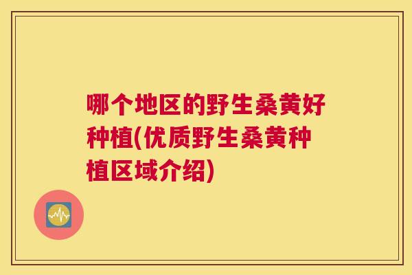 哪个地区的野生桑黄好种植(优质野生桑黄种植区域介绍)