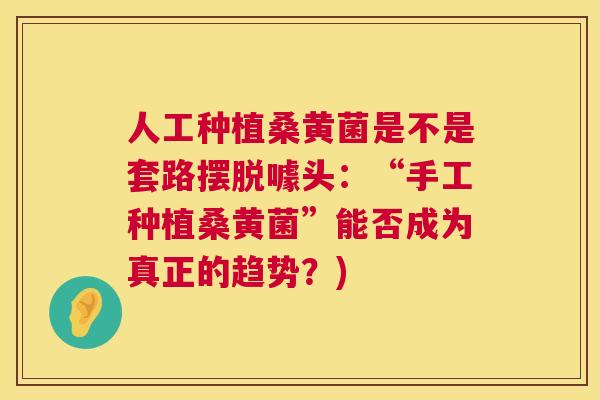 人工种植桑黄菌是不是套路摆脱噱头：“手工种植桑黄菌”能否成为真正的趋势？)