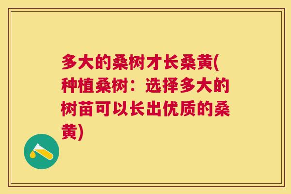 多大的桑树才长桑黄(种植桑树：选择多大的树苗可以长出优质的桑黄)