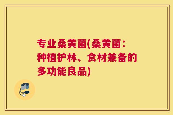 专业桑黄菌(桑黄菌：种植护林、食材兼备的多功能良品)