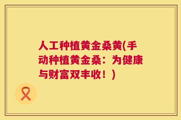 人工种植黄金桑黄(手动种植黄金桑：为健康与财富双丰收！)