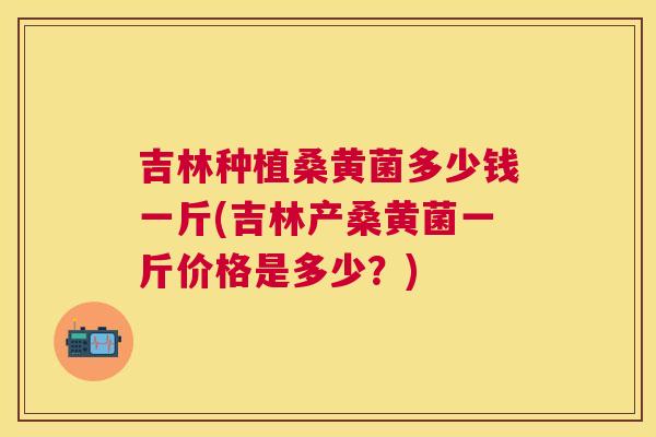 吉林种植桑黄菌多少钱一斤(吉林产桑黄菌一斤价格是多少？)
