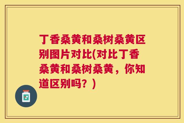 丁香桑黄和桑树桑黄区别图片对比(对比丁香桑黄和桑树桑黄，你知道区别吗？)