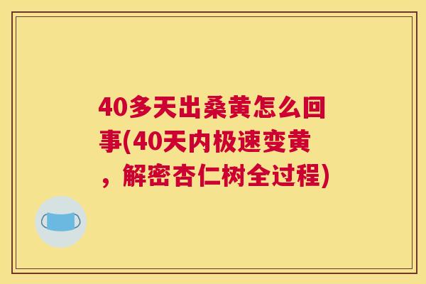 40多天出桑黄怎么回事(40天内极速变黄，解密杏仁树全过程)