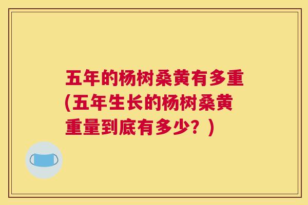 五年的杨树桑黄有多重(五年生长的杨树桑黄重量到底有多少？)