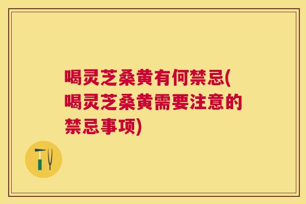 喝灵芝桑黄有何禁忌(喝灵芝桑黄需要注意的禁忌事项)