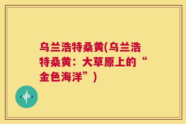 乌兰浩特桑黄(乌兰浩特桑黄：大草原上的“金色海洋”)