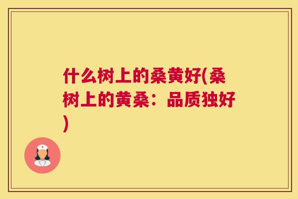 什么树上的桑黄好(桑树上的黄桑：品质独好)